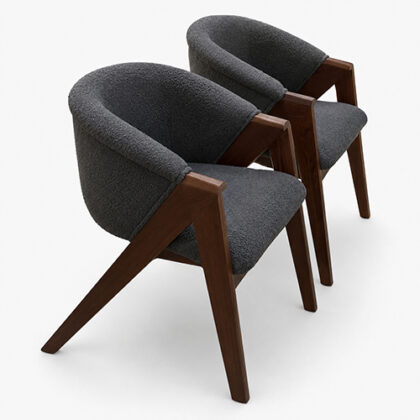 Alexa Modern Chairs